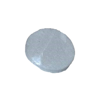 Nebulier Pump, FILTER - Each