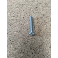 Prism P440 / Freeway P200 Ceiling Hoist - Cover / Case Screw - Each