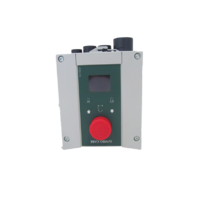 Linak 2 Channel Control Box With LCD Screen - Green