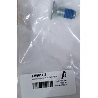 SCREW M10 X 25 ZP FLAT ADHESIVE  (for Arjo Stedy Leg Mechanism)