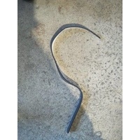 Gasket, Power Supply, Hillrom