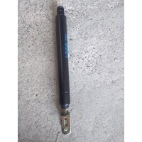 Coinfy Gas Strut - Short - 300N