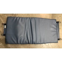 Fresenius T600 / T688 - Over Legrest Padding / Cushion - Wedgewood