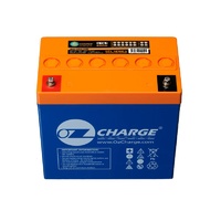 Drypower SLA Battery - 12V 55Ah - L 226mm x W 135mm x H 214mm