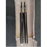 K0B1P-3-130-407-006 / 600N Gas Strut