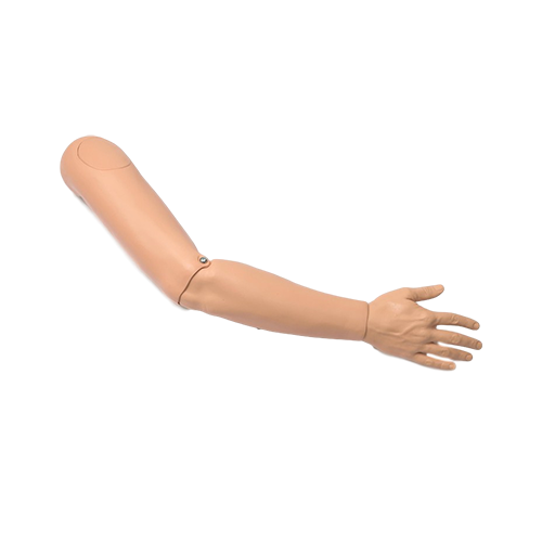 Right Arm 300-05150 Manikin