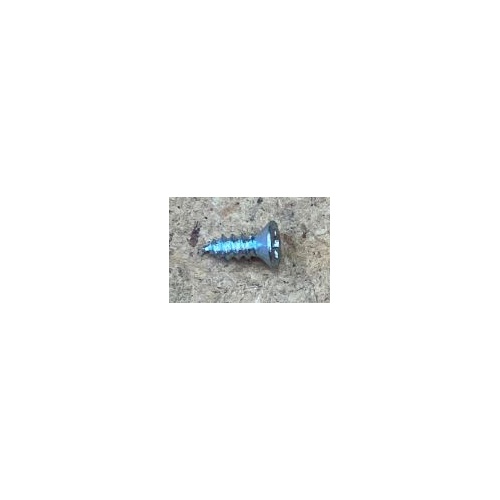 Waverley Glen / Prism C Series Hoist - Charge Block Contact Strip Screw (#2 x 1/4") - Each