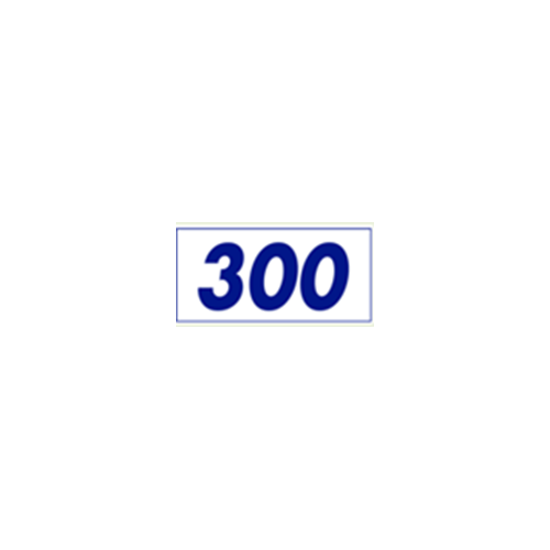 Haycomp Jumbuck Hoist 300 Model (Blue) Label For Boom