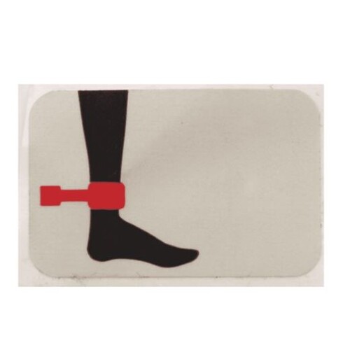Hill-Rom P8040 Transtar Trauma Trolley - Ankle Restraint LABEL - R/H