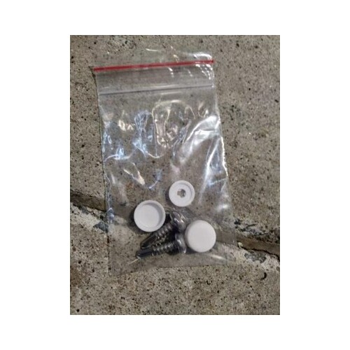 Sorrento Mental Health Bed - White Cap 6-8 Guage Screw For Handset Cover / Shroud MB6612.1