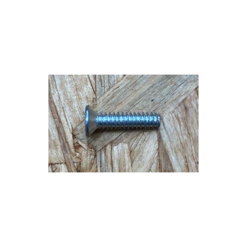 Alrick 400HR Siderail Main Screw for Hinge